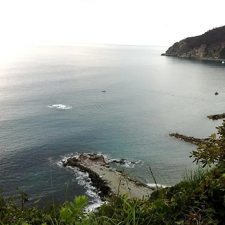 Maggiore Hotel 3*